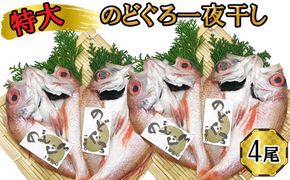 特大 のどぐろ　一夜干し2尾×2箱セット 322032_DQ019