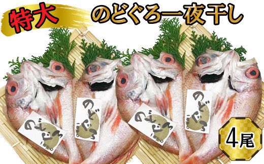 yo_sz ̂ǂ@銱2×2Zbg 322032_DQ019