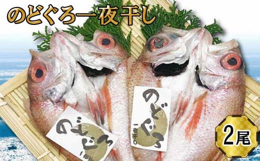 yo_sẑǂ@銱2Zbg 322032_DQ020