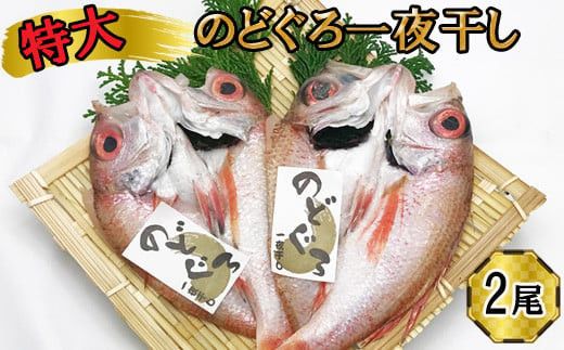 yo_sz ̂ǂ@銱2Zbg 322032_DQ022