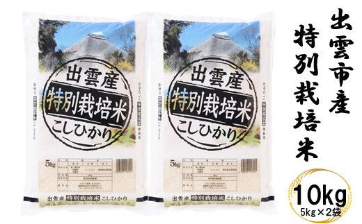 yo_szʍ͔|ā@o_sYRVqJ@10  322032_DQ031