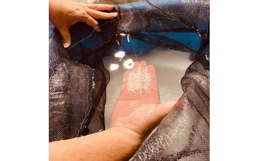 出雲富士　純米吟醸・純米一升瓶2本セット 322032_DR006