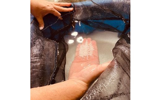 出雲富士　純米大吟醸　天の叢雲1800ml 322032_DR012