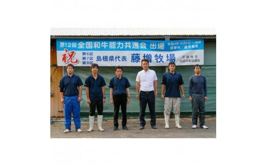 藤増 しまね和牛小間切り 600ｇ【冷凍】 322032_DS009