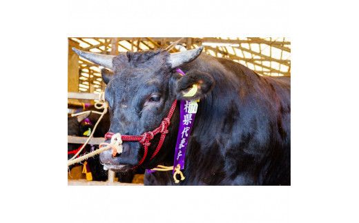 藤増 しまね和牛モモ スライス 700g【冷凍】 322032_DS010