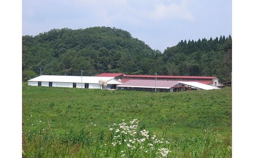 藤増 しまね和牛モモ切落し 750ｇ【冷凍】 322032_DS011