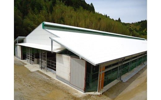 藤増 しまね和牛モモ切落し 750ｇ【冷凍】 322032_DS011