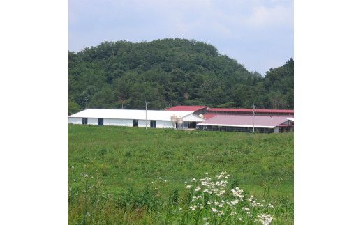 藤増 しまね和牛肩ロース スライス 850ｇ【冷凍】 322032_DS013