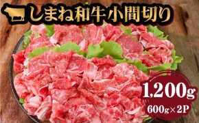 藤増 しまね和牛小間切り 1200ｇ【冷凍】 322032_DS015