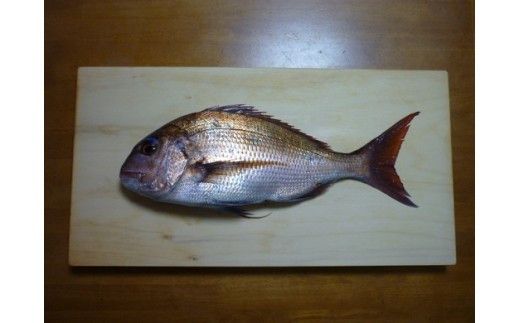 銀杏のまな板（特大、魚用） 322032_DV002