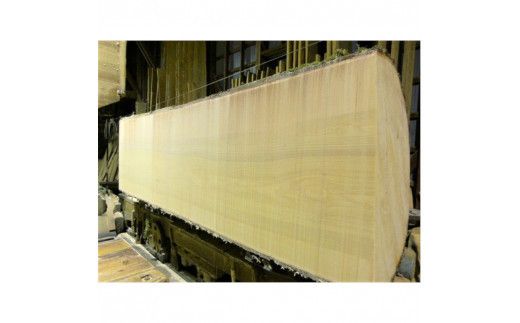 銀杏のまな板（特大、魚用） 322032_DV002