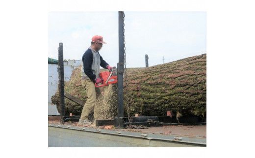 銀杏のまな板（大物用） 322032_DV004