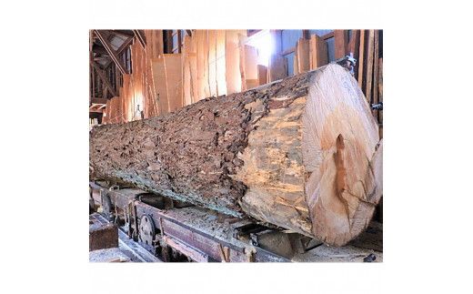 銀杏のまな板（クエ、マグロ用） 322032_DV012