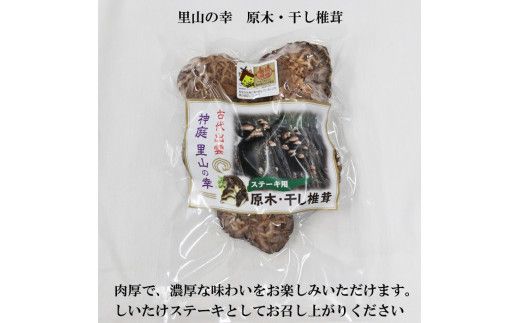 【令和7年産】出雲神結米（つや姫）＋乾燥ステーキしいたけ 322032_DY004