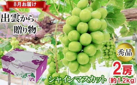 yo_szy2026N8z[_ƒ]IVC}XJbg1.2kgi8oׁj[c_] 322032_EB002