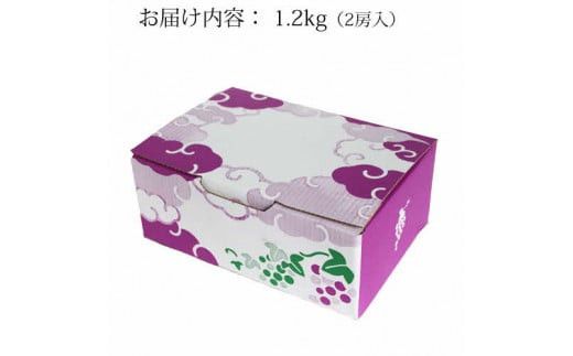 【2026年8月発送】[農家直送]厳選シャインマスカット1.2kg箱（8月出荷）[持田農園] 322032_EB002