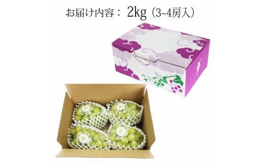 【2026年9月下旬以降発送】[農家直送]厳選シャインマスカット2kg箱[持田農園] 322032_EB006