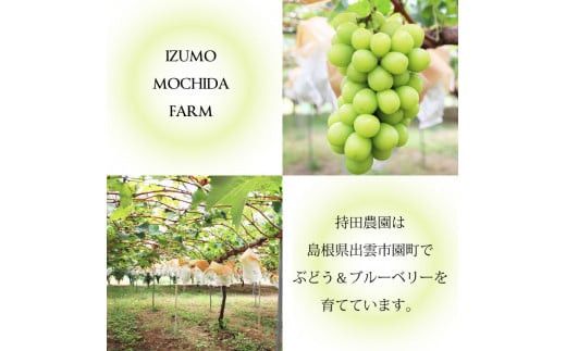 【2026年9月下旬以降発送】[農家直送]厳選シャインマスカット2kg箱[持田農園] 322032_EB006
