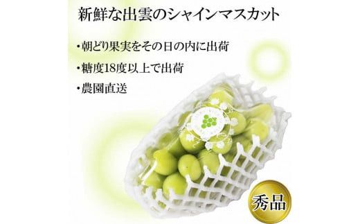 【2026年9月下旬以降発送】[農家直送]厳選シャインマスカット1.2kg箱[持田農園] 322032_EB007