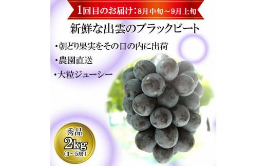 【2026年8月中旬以降発送】【2回定期便】【農家直送】厳選シャインマスカットとブラックビートの定期便 322032_EB009