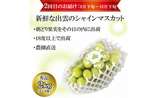 【2026年8月中旬以降発送】【2回定期便】【農家直送】厳選シャインマスカットとブラックビートの定期便 322032_EB009