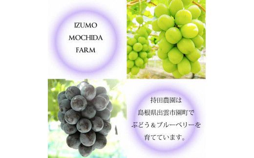 【2026年8月中旬以降発送】【2回定期便】【農家直送】厳選シャインマスカットとブラックビートの定期便 322032_EB009