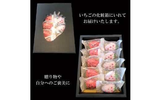 もなか　いちころか　10個入り 322032_EF001