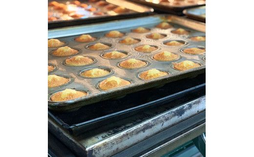 マゴフィ　8個入り2箱セット 322032_EF002