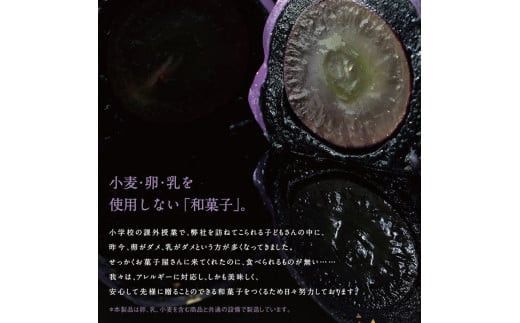 SPオパールのぶどう　ピオーネ　1箱6個入 322032_EF006