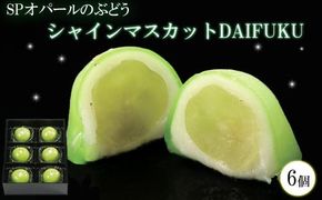 SPオパールのぶどう　シャインマスカット　1箱6個入 322032_EF008