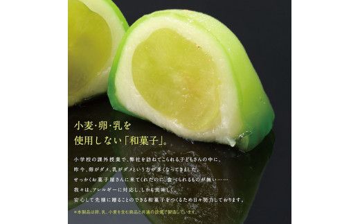 SPオパールのぶどう　シャインマスカット　1箱6個入 322032_EF008