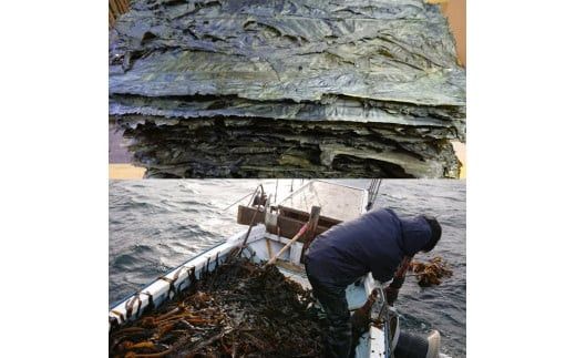 板わかめ　25ｇ×3袋　無添加　島根県産国産わかめ 322032_EG002