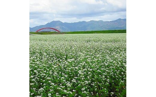 【出雲名物】出雲そばセット(2食入・つゆ付×７袋) 322032_EH001