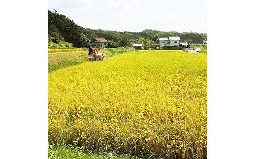 出雲産コシヒカリ（5kg）×2袋と出雲産きぬむすめ（5kg）×1袋 322032_EH004