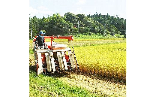 出雲産コシヒカリ（5kg）×2袋と出雲産きぬむすめ（5kg）×1袋 322032_EH004