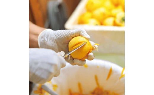 しあわせ柿　干し西条柿 322032_EP001