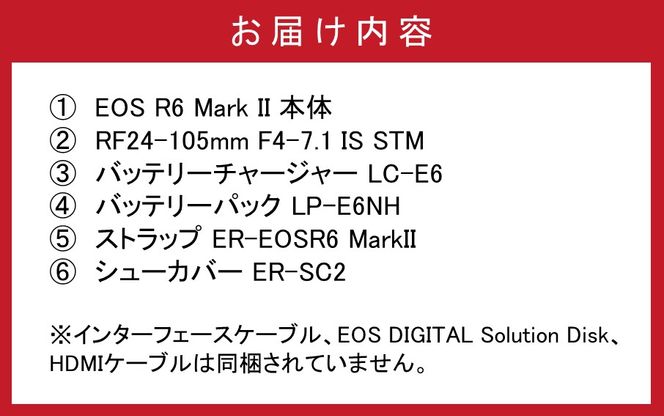キヤノンミラーレスカメラ EOS R6 MarkⅡ（RF24-105 IS STM レンズキット）_0037C