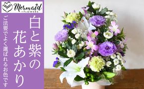 フラワーアレンジメント 花あかり　白ムラサキ【フラワー　アレンジメント　お供え 花 フラワー アレンジメント 供花 命日 法事　ふんわりと優しく品のよい花 大阪府 門真市 】 272230_BG001VC01