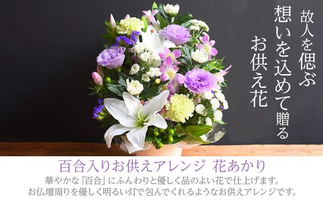 フラワーアレンジメント 花あかり　白のみ【フラワー　アレンジメント　お供え 花 フラワー アレンジメント 供花 命日 法事　ふんわりと優しく品のよい花 大阪府 門真市 】 272230_BG001VC03