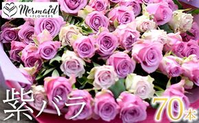 紫バラ70本【花 紫バラ ７０歳 古希 ７７歳 喜寿 ８０歳 傘寿 ９０歳 卒寿のお祝い 大切な方への贈り物 大阪府 門真市 】 272230_BG015