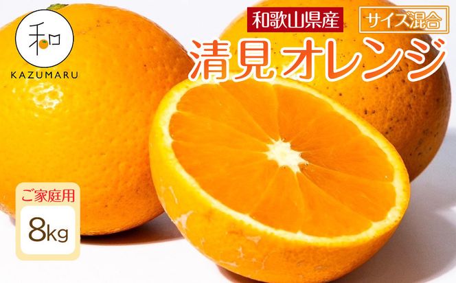 ya̎R쒬zƒp X{_̎I IW 8kg a̎RY TCY mkCEEzsnmRN48nm2026N2{5{\n 303446_DJ90048