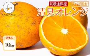 訳あり 森本農園の手選別 清見オレンジ 約10kg 和歌山県産 サイズ混合 ［北海道・沖縄・離島配送不可］［RN49］［2026年2月上旬から5月中旬頃順次発送予定］ 303446_DJ90049