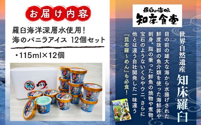 知床 海のバニラ 北海道 羅臼 海洋深層水 塩 世界自然遺産 冷凍 デザート アイスクリーム 乳製品 生乳 北海道産 生乳 アイス 知床食堂 生産者 支援 応援 016942_AX016