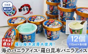羅臼海洋深層水使用！ 海のバニラアイス・羅臼昆布バニラアイス 12個セット  アイスクリーム スイーツ デザート 夏 北海道 羅臼町 知床 生産者 支援 応援 016942_AX020