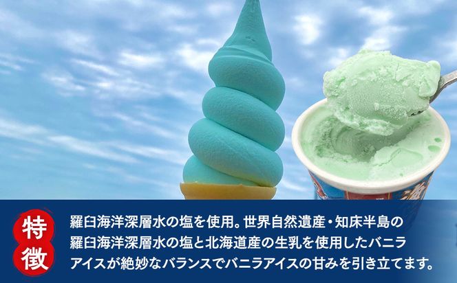 羅臼海洋深層水使用！ 海のバニラアイス・羅臼昆布バニラアイス 12個セット  アイスクリーム スイーツ デザート 夏 北海道 羅臼町 知床 生産者 支援 応援 016942_AX020