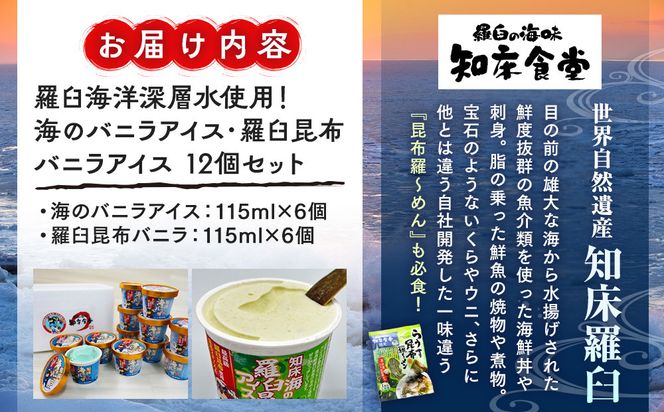 羅臼海洋深層水使用！ 海のバニラアイス・羅臼昆布バニラアイス 12個セット  アイスクリーム スイーツ デザート 夏 北海道 羅臼町 知床 生産者 支援 応援 016942_AX020