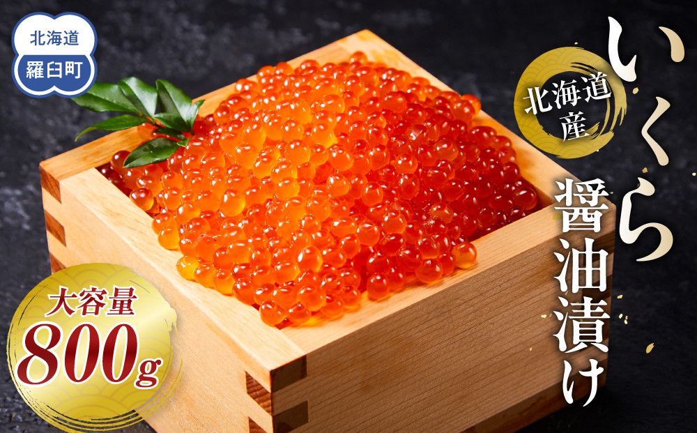 [10月発送]北海道産 いくら(鮭卵)醤油漬け 大容量400g×2個(200g×4パック) 国産 小分けパック イクラ 海鮮丼 ギフト 贈り物 魚介類 魚介 海産物 鮭 シャケ しゃけ 生産者 支援 応援 016942_AP020VC10