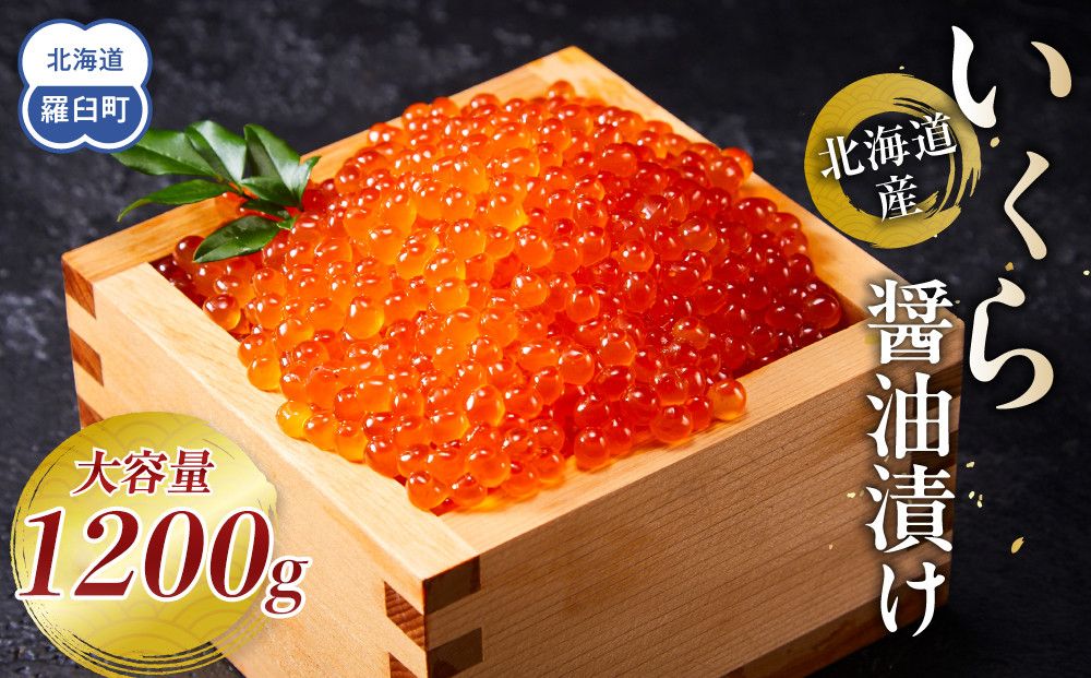 [10月発送]北海道産 いくら(鮭卵)醤油漬け 大容量400g×3個(200g×6パック)国産 小分けパック イクラ 海鮮丼 ギフト 贈り物 魚介類 魚介 海産物 鮭 シャケ しゃけ 生産者 支援 応援 016942_AP021VC10