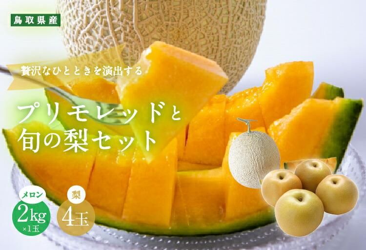 925.[ふるさと納税][赤肉系メロン]プリモレッド (メロン) と旬の梨セット※離島への配送不可(北海道、沖縄本島は配送可能) 313726_BQ003-P