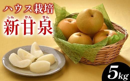 287.ハウス新甘泉(ハウスしんかんせん)5kg(JA) ※2025年8月上旬〜8月中旬頃に順次発送予定 313726_AT001-P